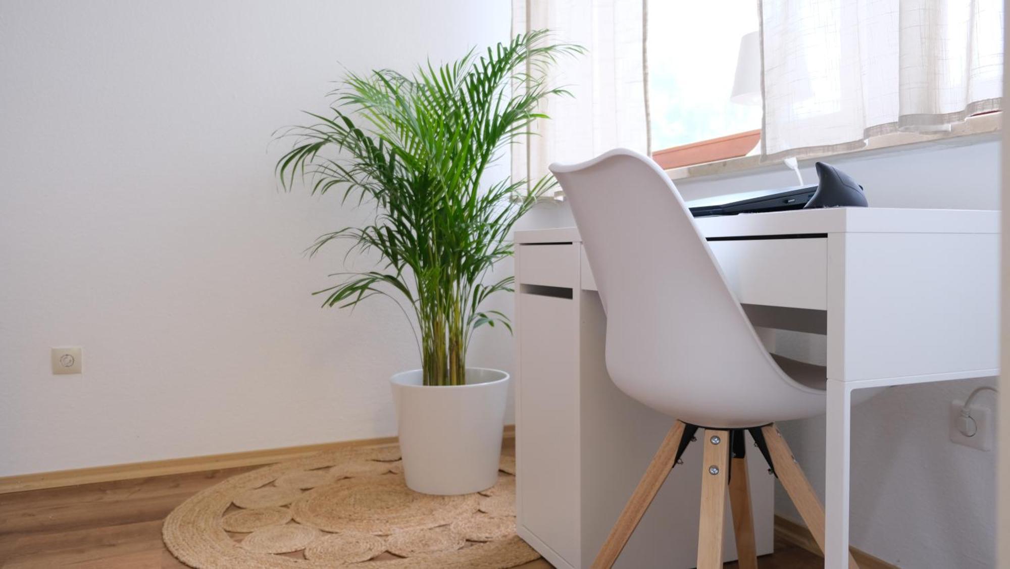 Casa Luxe - 120Qm - Zentral - Familienfreundlich - Parkplatz - 5Km Zum Legoland Appartement Günzburg Buitenkant foto
